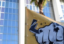 Χρυσή Αυγή: Καταπέλτης η εισαγγελέας – Εγκληματική οργάνωση με ναζιστική ιδεολογία xrisi augi eurok 1200x630.jpg