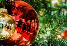 Στολισμός χριστουγεννιάτικου δέντρου: Δείτε όλα όσα πρέπει να προσέξετε xristougenniatiko dentro r 1200x630.jpg