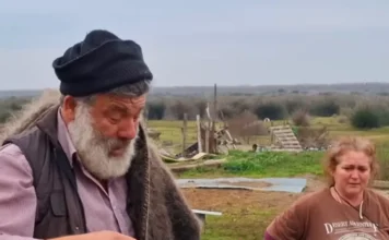 xrwma ktinotrofos.webp.webp