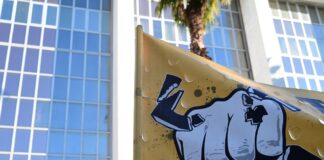 xrysh aygi 1 1200x630.jpg