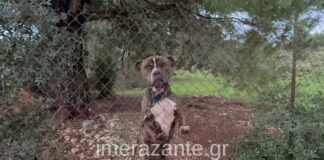 zakinthos2 1200x630.jpg