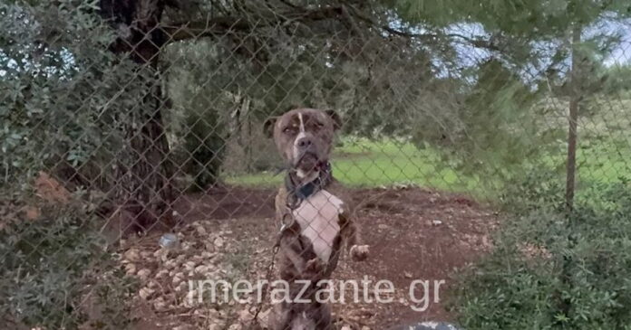 zakinthos2 1200x630.jpg