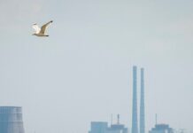 zaporizhzhia 1200x630.jpg