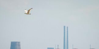 zaporizhzhia 1200x630.jpg