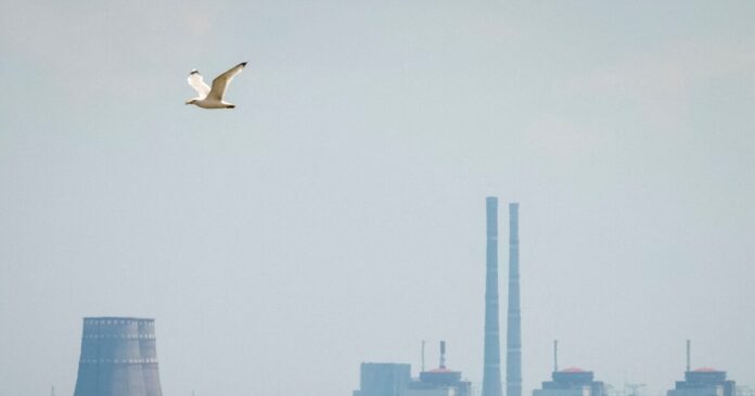 zaporizhzhia 1200x630.jpg