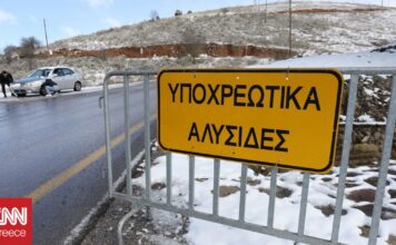 01f5ed73 20240130122202img60401706613684 1 og.jpg