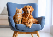 13f005dbdadd321c4a1c7cc702877ad8 L.jpg