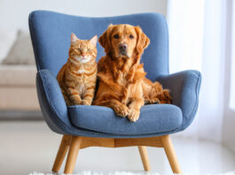 13f005dbdadd321c4a1c7cc702877ad8 L.jpg