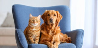 13f005dbdadd321c4a1c7cc702877ad8 L.jpg