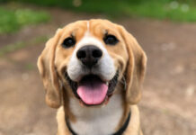 13f9dc32c6f4265ace5575f8f630429e L.jpg