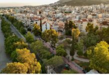 1767801157 stegi 1.jpg