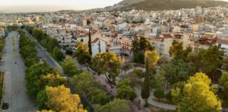 1767801157 stegi 1.jpg