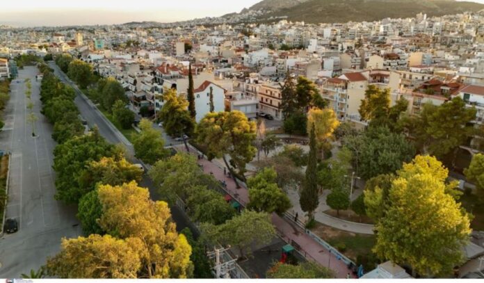 1767801157 stegi 1.jpg