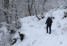 1768110334 xionia eurok 2 1200x630.jpg