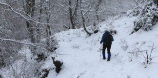 1768110334 xionia eurok 2 1200x630.jpg