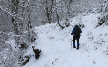 1768110334 xionia eurok 2 1200x630.jpg