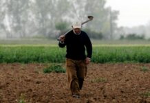 1768235921 agrotes 1.jpg