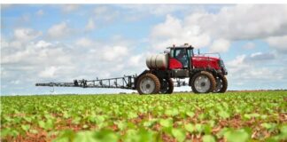 1769810787 agrotes 1.jpg