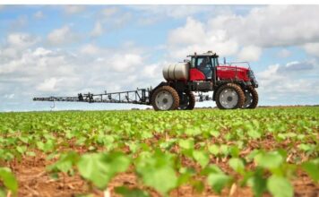 1769810787 agrotes 1.jpg