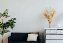 1769847715 stegi 1.jpg