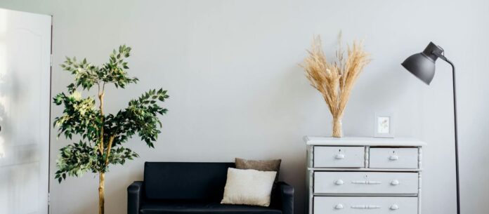 1769847715 stegi 1.jpg 1769847715 stegi 1.jpg