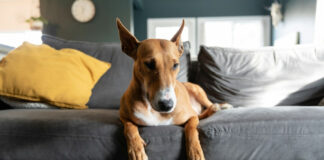 20e4903752ebe1aed1eda15c5dcf5e98 L.jpg