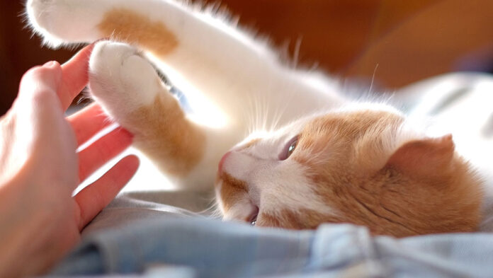 254235637.jpg 254235637.jpg