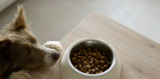 4b11a58a60a9b419acccf0b2b787fc07 L.jpg