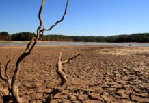 5663396575 ec70bb8e3d k 620x350.jpg