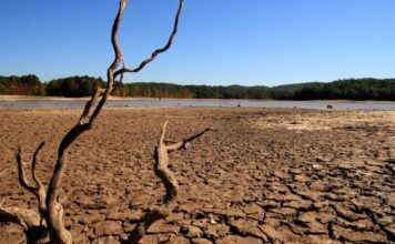 5663396575 ec70bb8e3d k 620x350.jpg