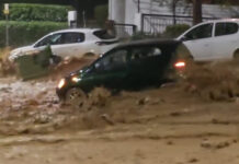 6b88d28825d01ec2b9d120a7ad1dadbc L.jpg