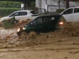 6b88d28825d01ec2b9d120a7ad1dadbc L.jpg