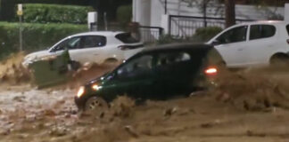 6b88d28825d01ec2b9d120a7ad1dadbc L.jpg