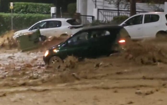 6b88d28825d01ec2b9d120a7ad1dadbc L.jpg