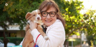 8cdf46f5a0bbfc8387724f31e0973c14 L.jpg