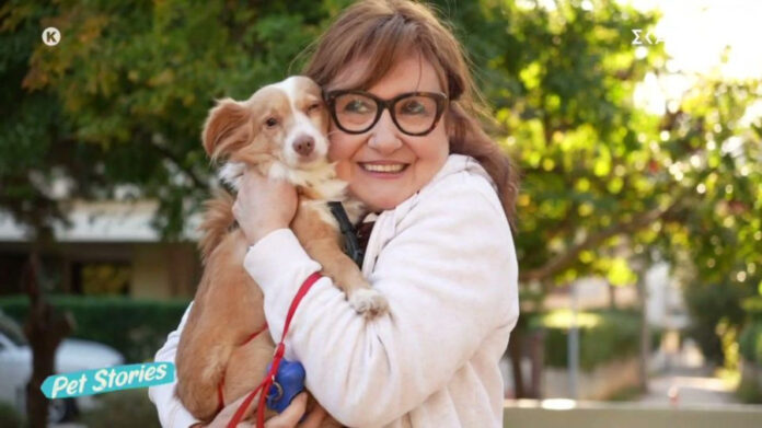 8cdf46f5a0bbfc8387724f31e0973c14 L.jpg 8cdf46f5a0bbfc8387724f31e0973c14 L.jpg