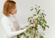 98ae58cdb00877b2fceede3c87de3421 L.jpg