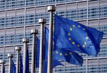 COMMISSION 27022025 1200x630.jpg