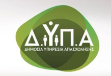 Πρόγραμμα απασχόλησης για άνεργες μητέρες: Πώς γίνεται η επιλογή των υποψηφίων και τι ισχύει για το σύστημα ειδοποίησης – Οι διευκρινίσεις της διοικήτριας της ΔΥΠΑ Dypa 3 1.jpg