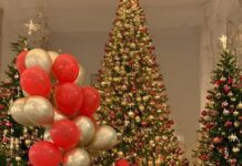 Maria Ekmektsioglou pnevmonia 3 bc45e.jpg