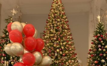 Maria Ekmektsioglou pnevmonia 3 bc45e.jpg