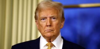 Ntonalnt Tramp 1 1.jpg