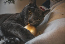 a4bb971547885d988b1469736b6f2e89 L.jpg