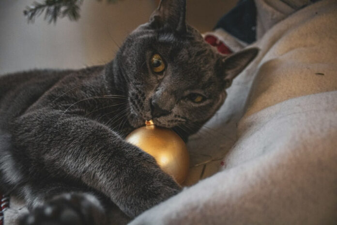 a4bb971547885d988b1469736b6f2e89 L.jpg