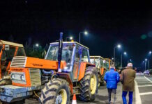 agrotes 05012026 1200x630.jpg