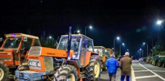 agrotes 05012026 1200x630.jpg