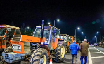 agrotes 05012026 1200x630.jpg