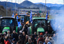 agrotes 1 1200x630.jpg