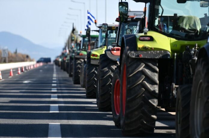 agrotes 1.jpg agrotes 1.jpg