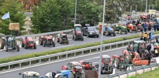 agrotes 1200x630.jpg